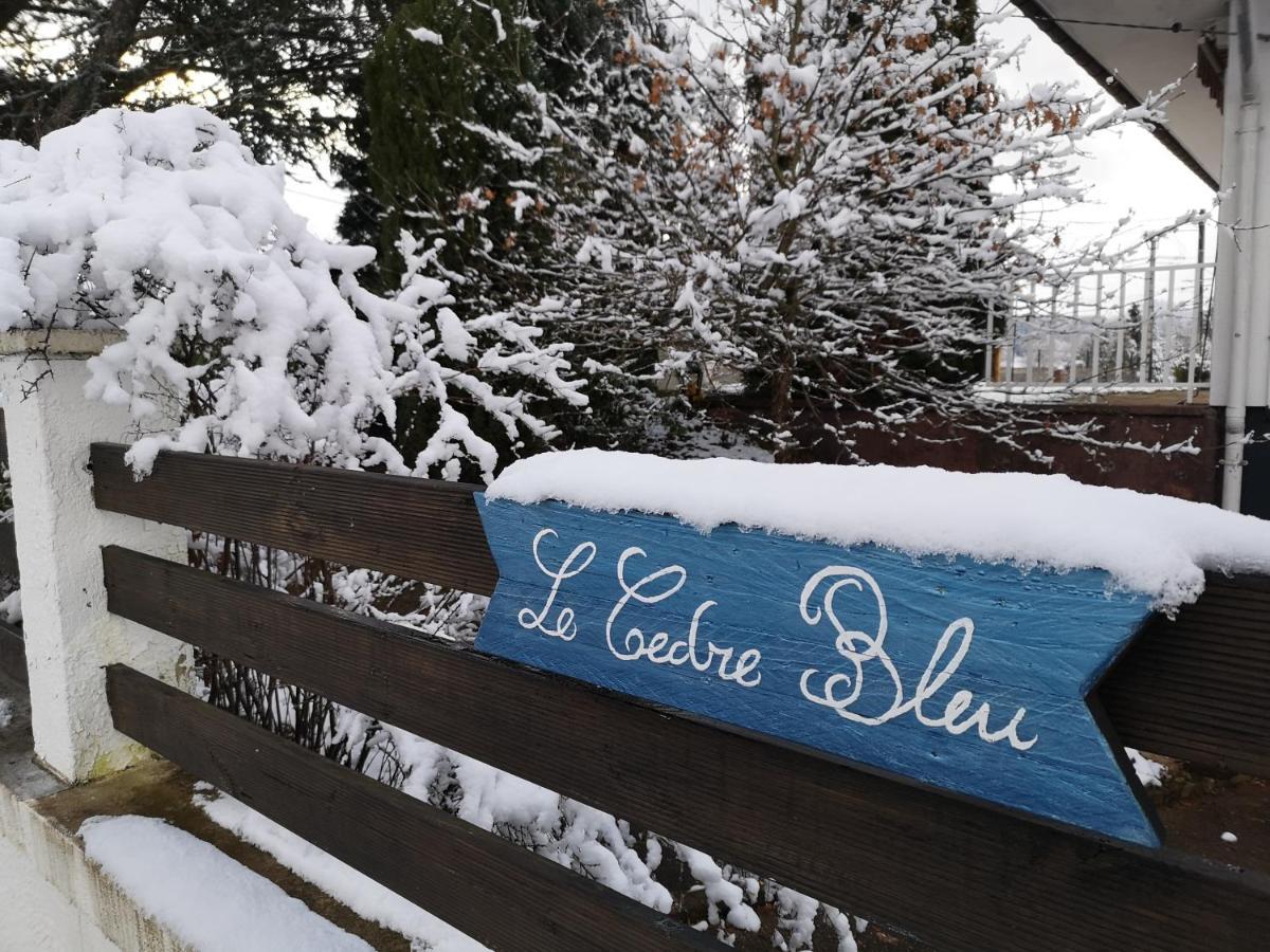 Le Cedre Bleu Hotel Saint-Michel-sur-Meurthe Ngoại thất bức ảnh